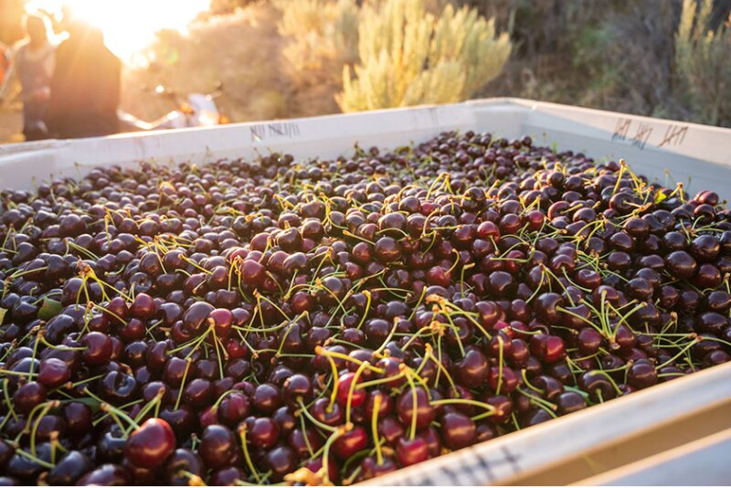 Stemilt cherries