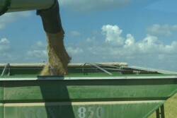 2016 rice harvest in Stuttgart, Arkansas.