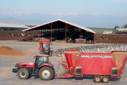 Silage_-_Ron_Kuber_4-09_191_-_Copy