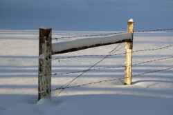 snow-1342457-1599x1070