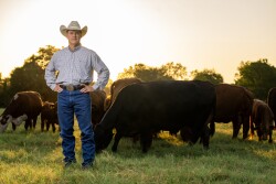 Clay Mathis, Ph.D., will become the head of the Department of Animal Science in the Texas A&M College of Agriculture and Life Sciences.