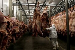 Beef packing plant