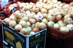 vidalia-onion.png