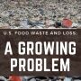 Food waste and loss