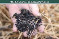 Farmers aren't the only ones who like healthy soils--so do earthworms.