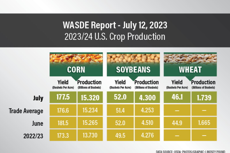 Wasdwe Here's What You Need to Know About USDA's July WASDE Report - AgWeb