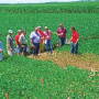 Attending educational events can help the pest boss and his staff keep up to date on pest threats. Such trainings range from local retailer meetings to larger gatherings sponsored by universities and industry groups.