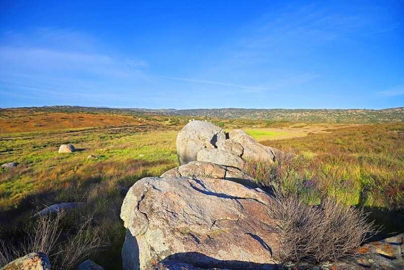The Duke’s former 2,000 acre ranch outside Los Angeles is being touted for its potential as a cattle grazing operation and a marijuana farm.