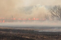 Spring burning in Kansas Flint Hills