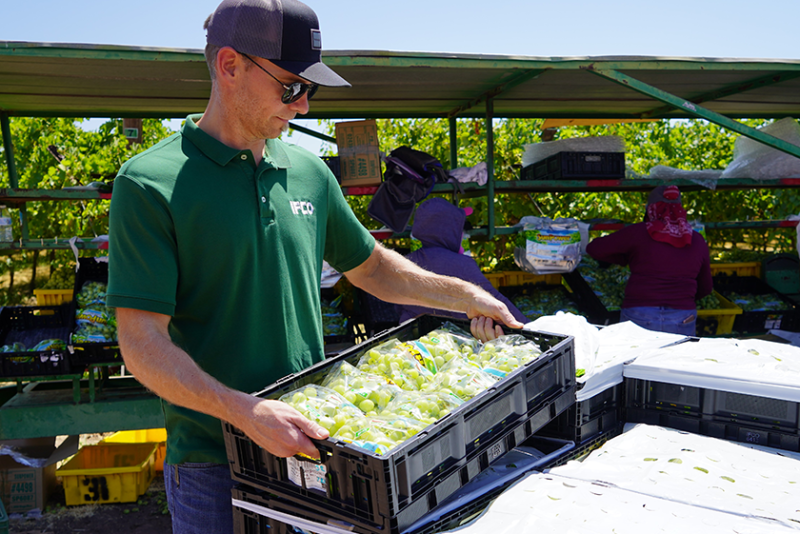 Man wearing sunglasses, black ballcap, green shirt and jeans carries a black container holding several packages of green grapes.