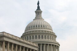 Capitol Senate