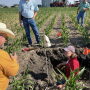 Dry conditions in some parts of the Midwest are putting a strain on yield potential early this season. But some stands are thriving. Practices such as continuous covers and no-till are making the difference, says Jimmy Emmons, the author, far left.