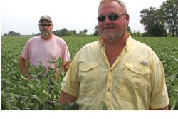 Consultant Robb Dedman, foreground right, and farmer-client Matt Miles keep 120 soybean varieties in constant strip trial motion, searching for the best seed-to-acre match.