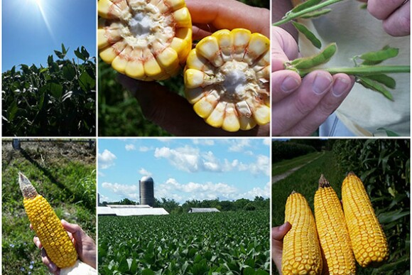 OH_crop_tour_collage