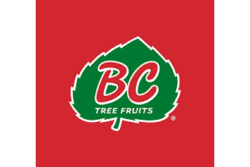 BC tree