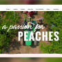 Titan Farms new website screenshot, Aug. 22, 2023