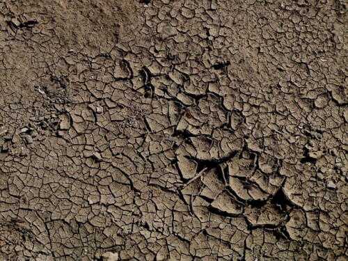 dry ground
