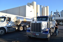 Dairy farmers are under siege thanks to low prices and changing tastes. 
