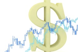 Hog markets went lower while cattle futures came up.