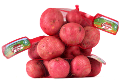 73A3BE53-BDCC-4DF1-94A5BDC961B863DA.png