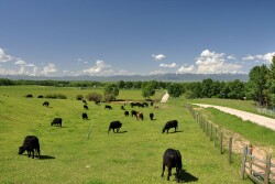 Elk Range Ranch