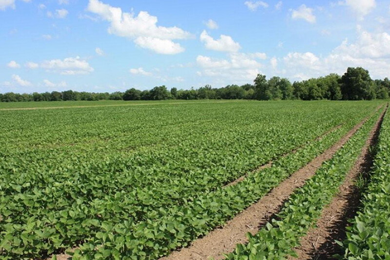The announcement comes following the 2020 announcement that Peoples Company opened its first office in the Mississippi Delta in Jonesboro, Arkansas, with the addition of Joel and Kim King. 