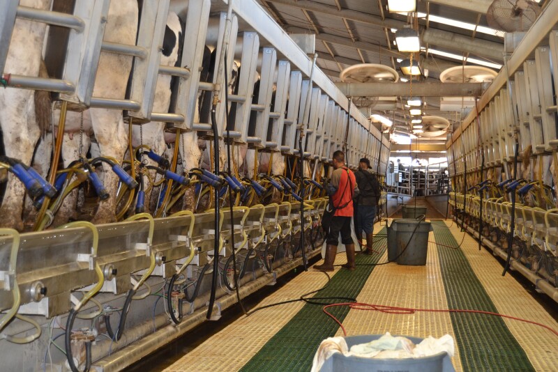 “Right now, it's on firm footing,” Brian Rice of Vault Ag told U.S. Farm Report host Tyne Morgan. “It can last through the end of the year, I don't see any big breaks, but as we get into the January part of the calendar [that could change].”

