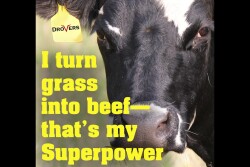 What's your superpower?