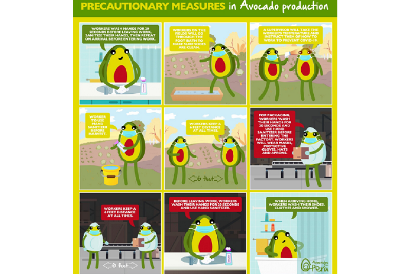 Avocados From Peru has released a graphic featuring the group's mascot, explaining the steps the industry is taking during the global pandemic.