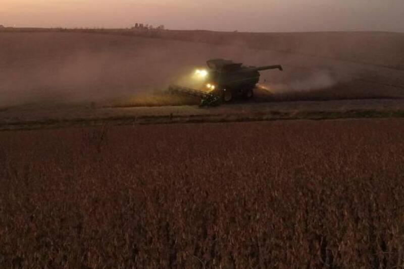 Soybean-harvest