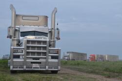 Livestock haulers preparing to load cattle.
