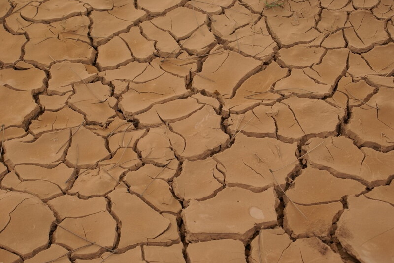 Drought 