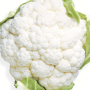 CD8A1B55-3705-4879-B1C48C11F982C2AB.png