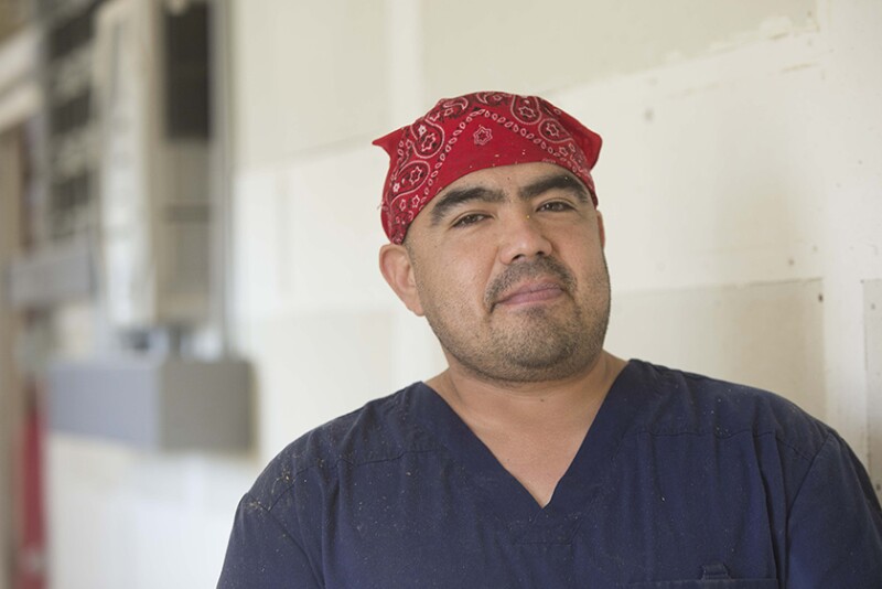 Employee on sow farm