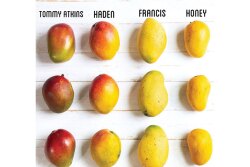 Tommy atkins, haden, francis and honey (also known as ataulfo) mangoes are all in peak supply during the month of May, says the National Mango Board.