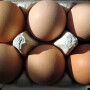 Egg prices are up 60% year-over-year. What's caused the big jump?  Jayson Lusk, head of the Department of Agricultural Economics at Purdue University, says the answer is simple: highly pathogenic avian influenza (HPAI). 