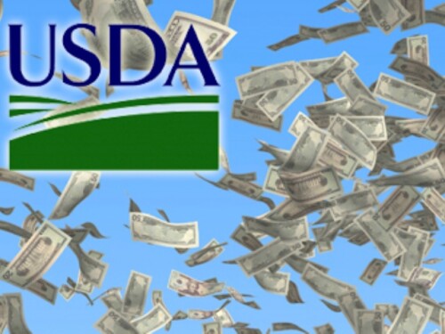 usda_-_flying_money.jpg