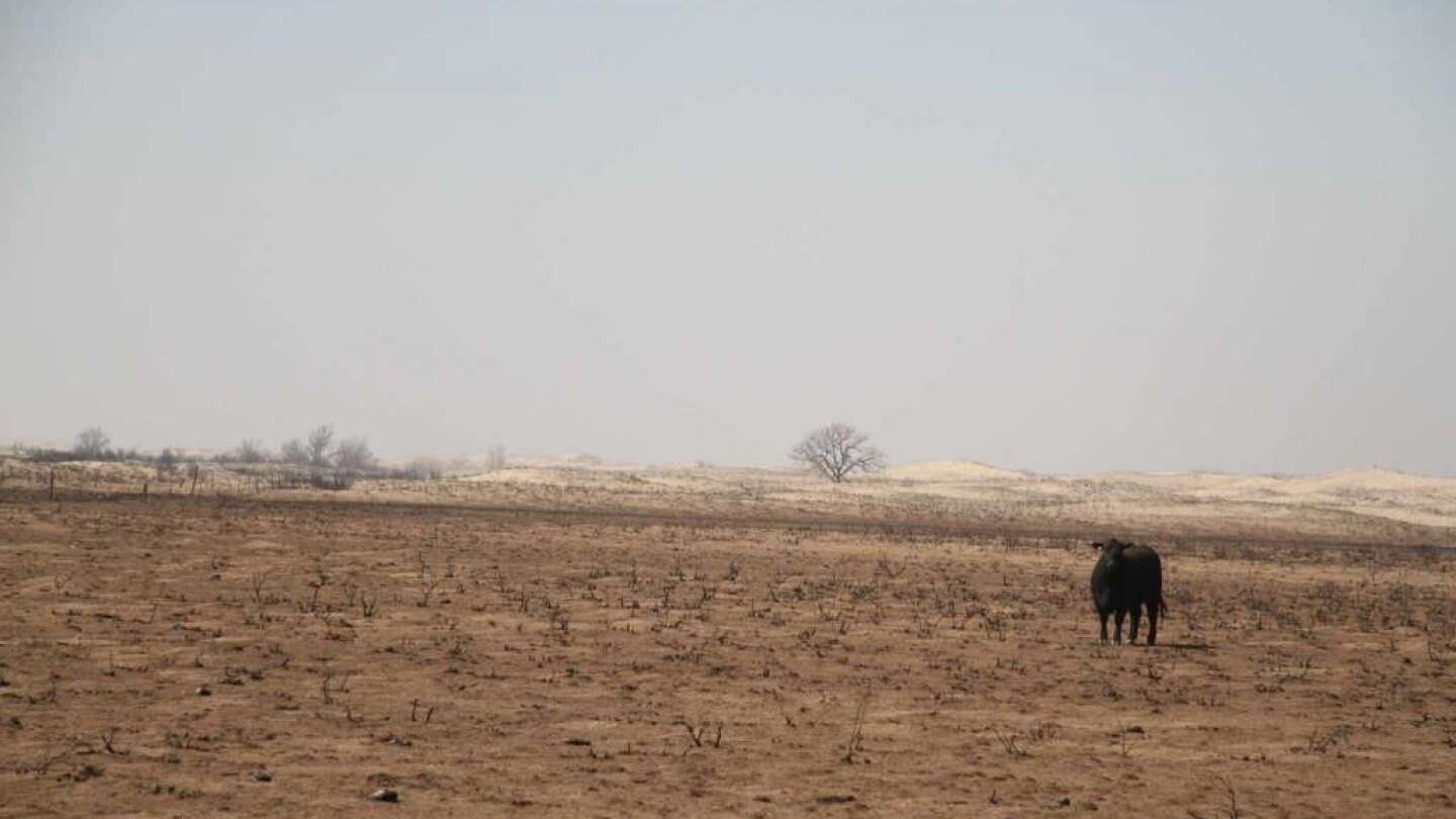 Some High Plains Farmers Struggling After Fires, Drought - Drovers
