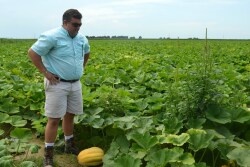 A switch to a no till cover crop system provided a booster shot to Johnny Hunter’s weed control, irrigation efficiency and overall soil health.