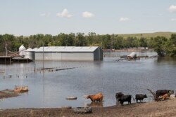 Flooding in North Dakota in 2019