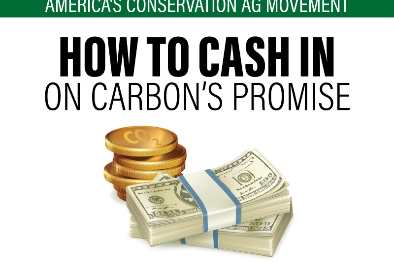 Ecosystem services offer revenue streams and clauses to navigate.