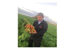 Dorot Farm carrot. Photo courtesy Dorot Farms