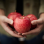 WildTwist apple