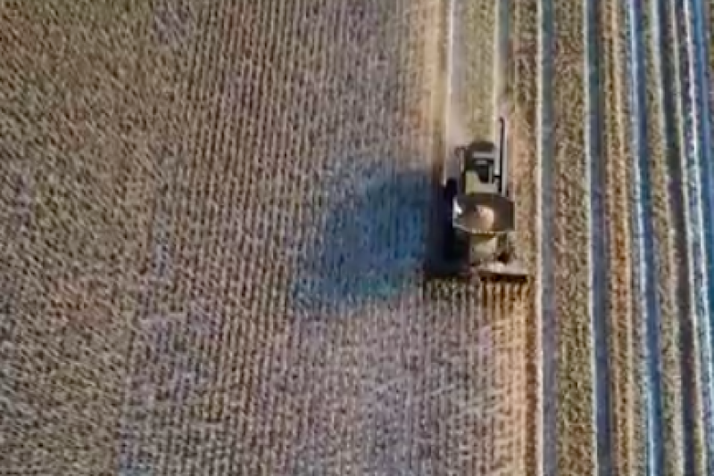 Farmers outside of Grand Forks, North Dakota are busying harvesting this week. Despite the snow, farmers say moisture content in the corn is coming down slightly and test weight is seeing a slight bump. 