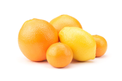chilean citrus combo WEB.png