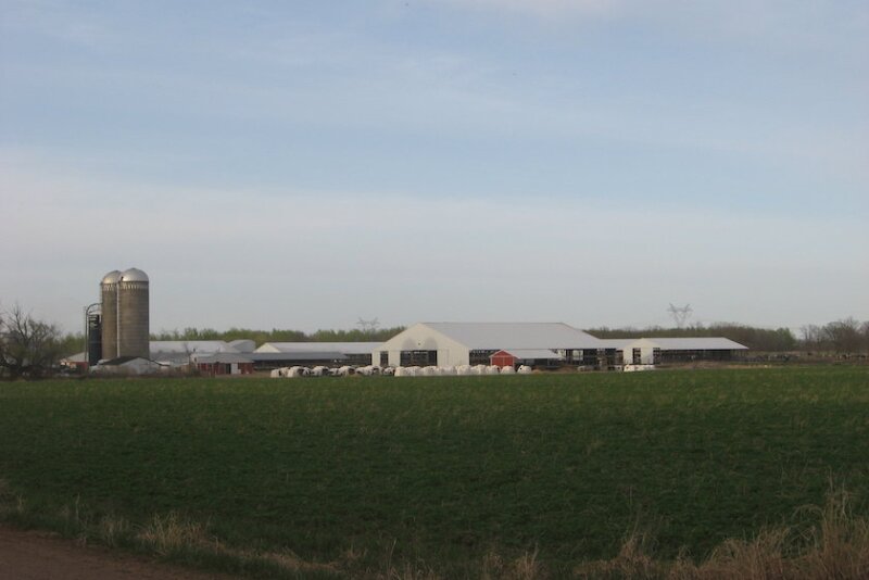 JM Peterson Farm, Inc., milks 400 cows and farms 2,500 acres an hour north of the Twin Cities in Pine City, Minn.