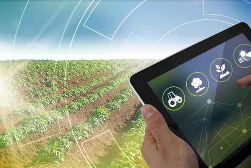 "All these words that we love to throw about—traceability; sustainability; and, yes, blockchain—apply here big time. "