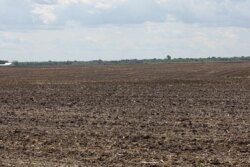 unplanted field