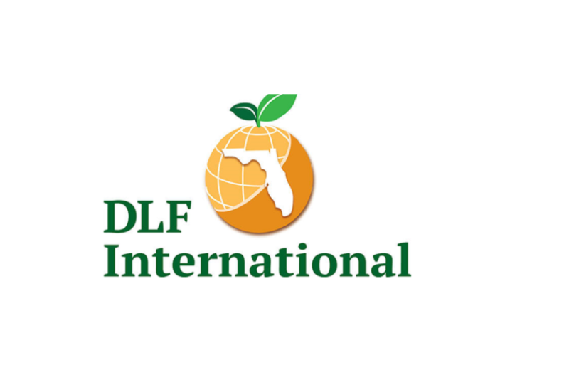 DLF international