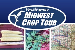 Iowa's corn yields towered over neighboring states in the 2019 Pro Farmer Midwest Crop Tour.